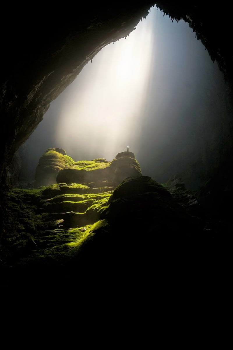 Mystical Garden